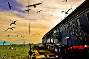 免费cc攻击测试