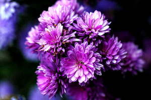 发卡网推荐的免费ddos在线攻击